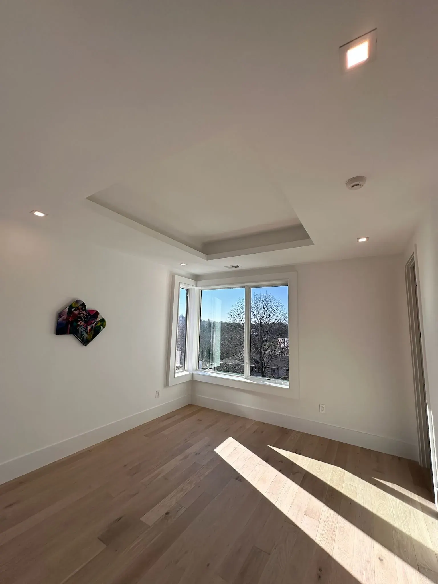 Bedroom with a tray ceiling and recessed lights